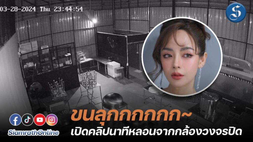 ปุยฝ้าย