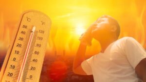 xr:d:DAF9DYTIZvQ:106,j:1452835400090043439,t:24041109