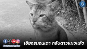 เฮียจรนอนเตา