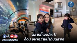 นาตาช่าอ้อนอยากว่ายน้ำ ปก