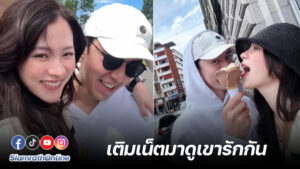ใบเฟิร์นนาย
