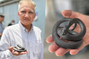 5c58a6ebc4f977b02835b62ba016a99f47b5ff857df6b9a7652173238b07c4ea