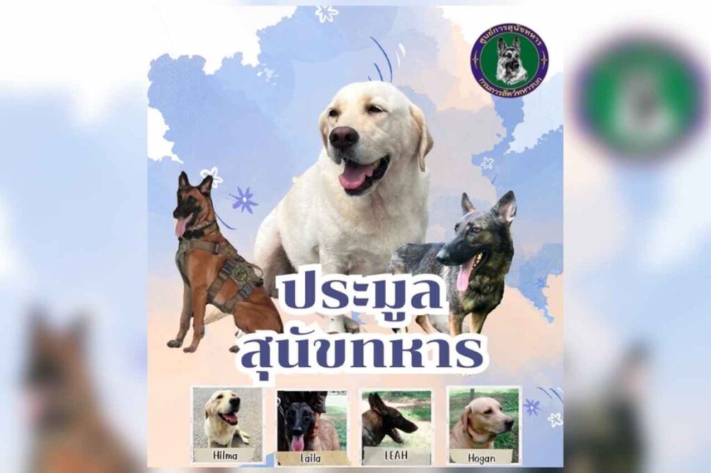 ประมูลสุนัขทหาร