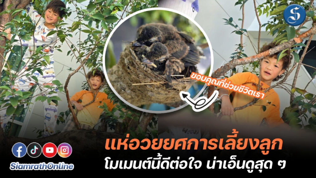 ลูกฮารุ