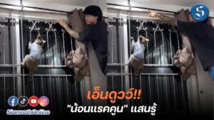 แรคคูนซ่อมผ้าม่าน ปก