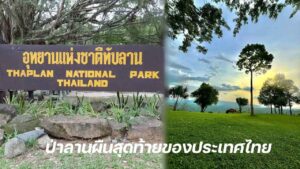 ป่าทับลาน ปก