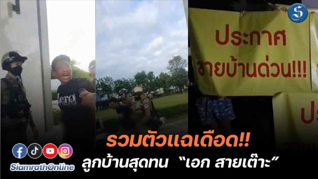 เอกสายเต๊าะ โหนกระแส ปก