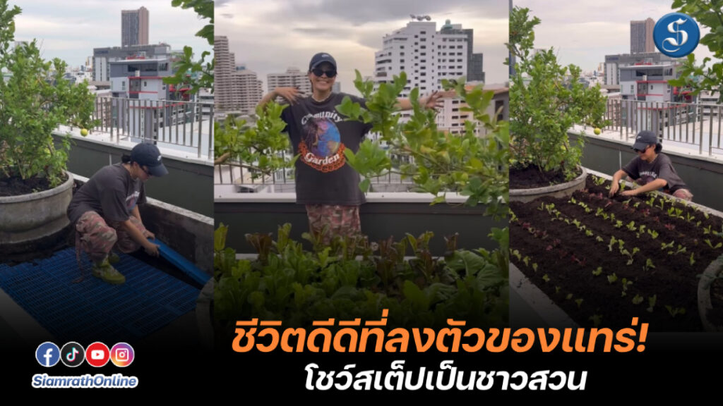 แพรี่พาย copy