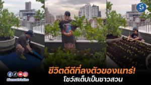 แพรี่พาย copy