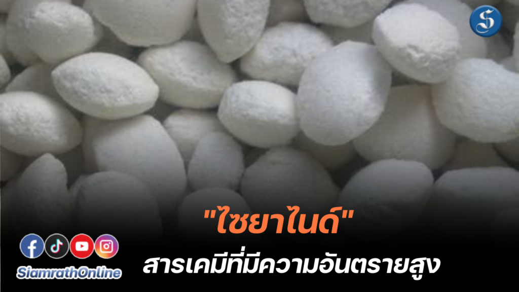 ไซนาไนด์-salt-768x512