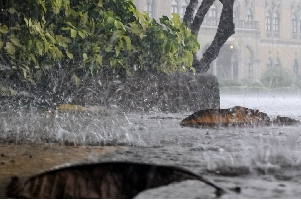 d4a370abd2500c3ee457cfc6bca64a31e45ef71efcf86a8473280eafa734af5c