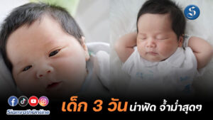 น้องคากิ