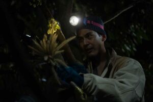 เต้ย พงศกร วิมานหนาม ปก