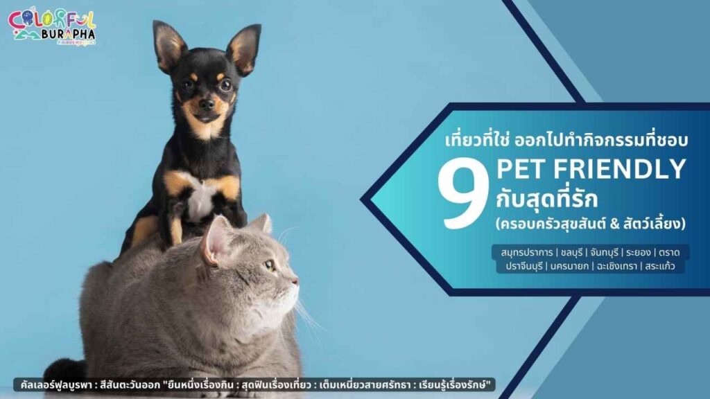 เที่ยวกับสุดทีรัก