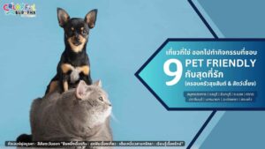 เที่ยวกับสุดทีรัก