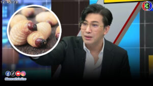 พี่หนุ่ม