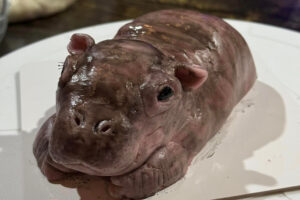 หมูเด้งเค้ก ปก