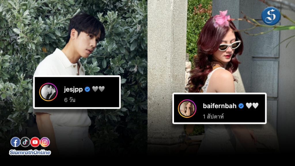 ใบเฟิร์น (3)