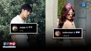 ใบเฟิร์น (3)