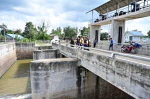 batch_S__112615481_0-850x560_0