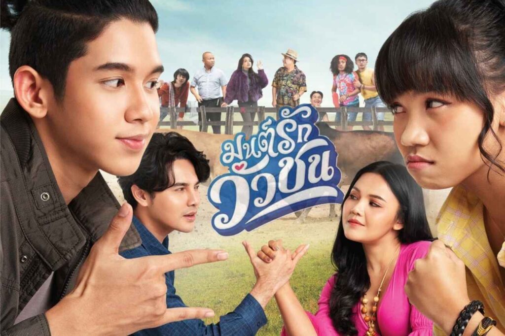 มนต์รักวัวชน ปก