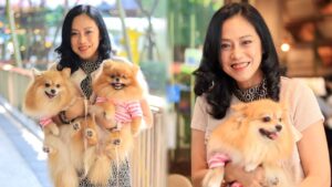 อารีรัตน์ ปก