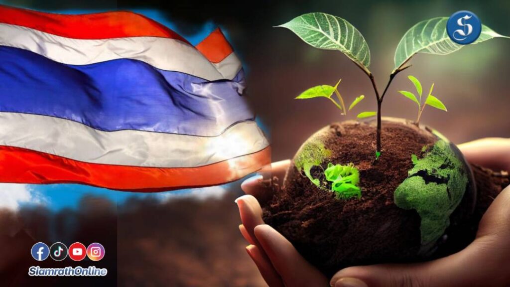 5ธันวาคม