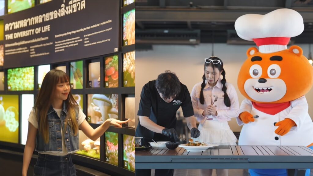 พิกกาบูจูเนียร์ ปก