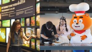 พิกกาบูจูเนียร์ ปก