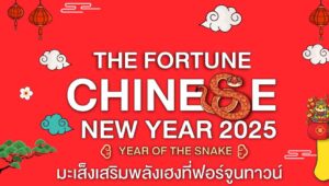 มหกรรมฉลองตรุษจีน ปก