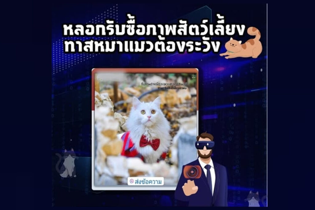 หลอกซื้อภาพหมาแมว