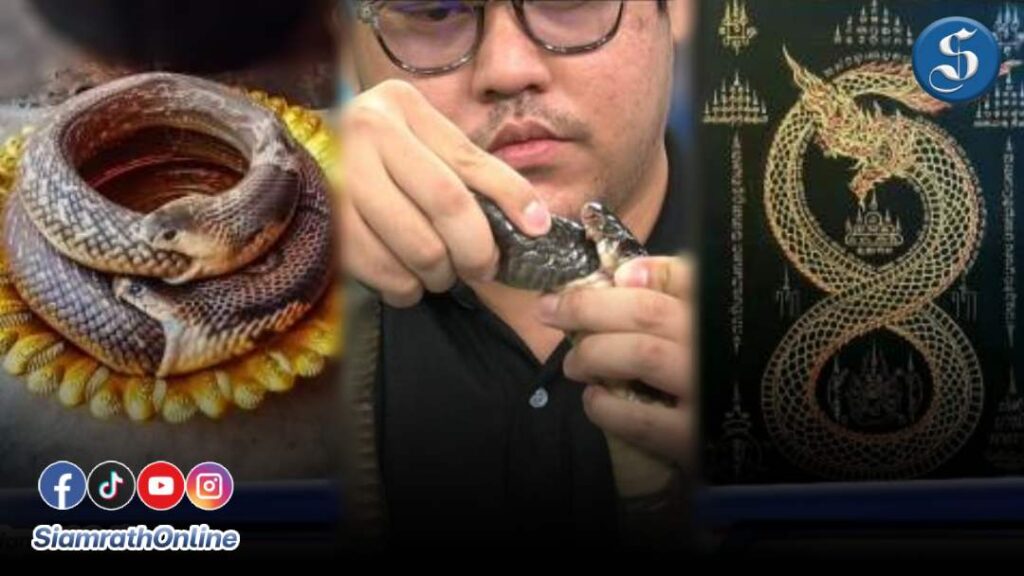 ไขปริศนา-บ่วงนาคบาศ-ปกหน้า