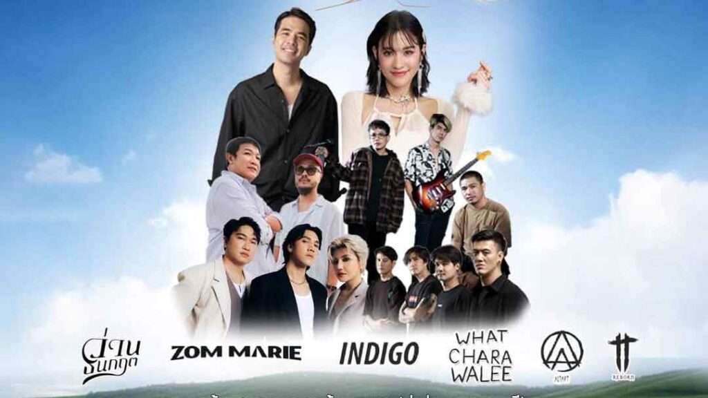 คอนเสิร์ต หญ้าดอกขาว ปก