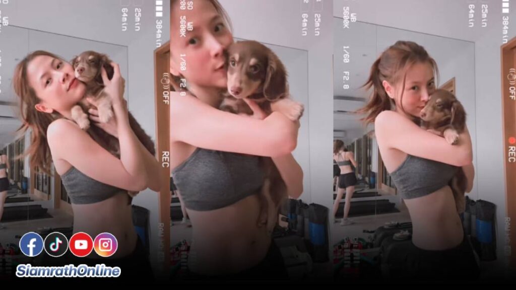 ใบเฟิร์น (3)