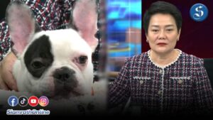 โคลนนิ่ง พะแพงหมาสุดรัก ปก