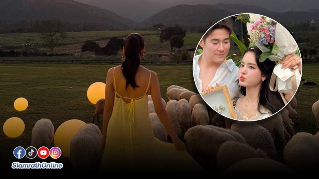 โบว์เมลดา