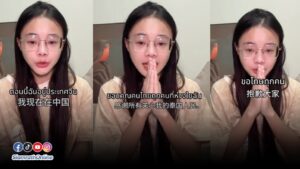 น้องเต้าหู