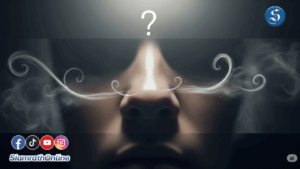 อยู่ดีดีก็ได้กลิ่น