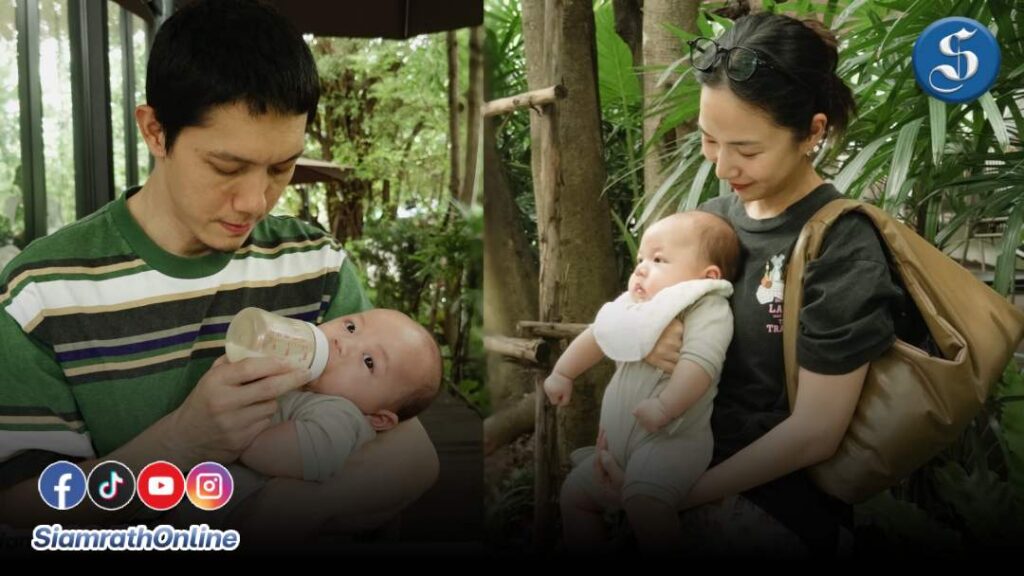 เตย ปั๊ป ปก