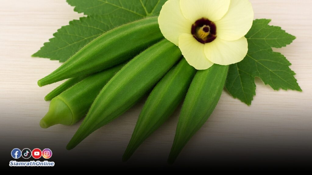 กระเจ๊ยบ