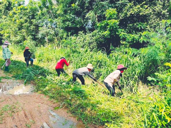 หนองหวายเร่งกำจัดวัชพืชคลอง (4)