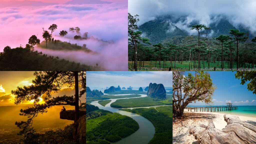 5ที่เที่ยวปลายฝนต้นหนาว