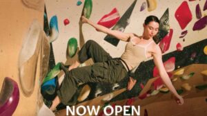 LED PARQ ADS_5 lift cover