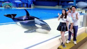 LINE_ALBUM_หนีเที่ยวกัน 4 ต.ค. cover