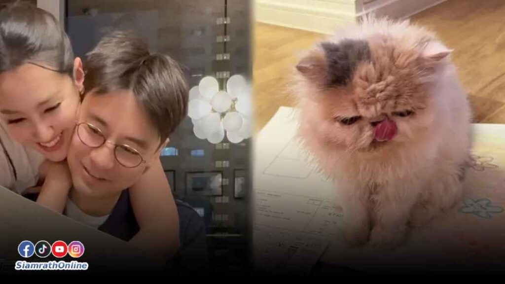 เบลล่าราณี โพสต์ภาพ วิลชวิณ ปกเว็บ