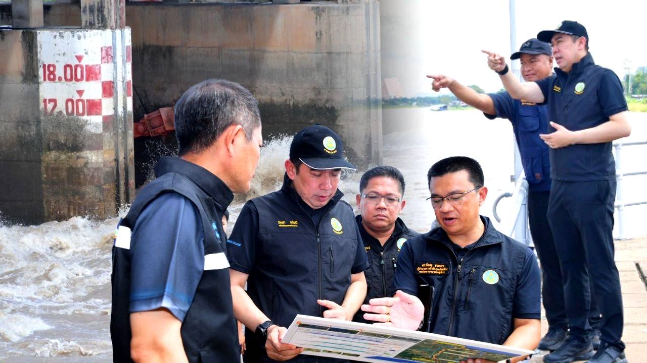 ปก