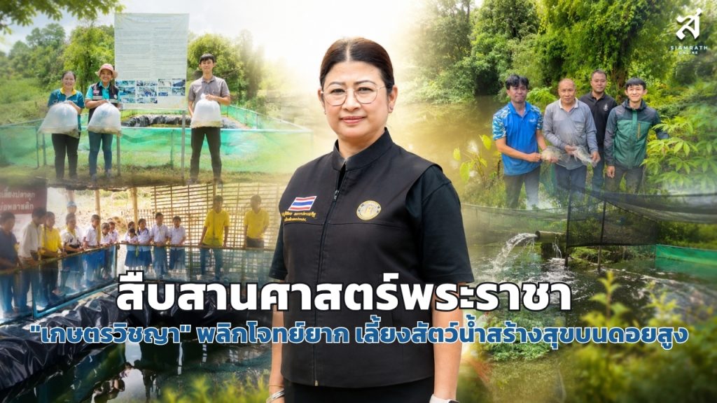 กรอบเว็บไซต์ 1280x720 (3)