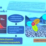นักอุทกวิทยาไทย-กรมชลฯ ถอดบทเรียนน้ำท่วมเชียงใหม่-หาดใหญ่ รับมืออากาศสุดขั้ว