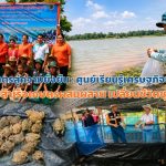 จากสายพระเนตรสู่ความยั่งยืน: ศูนย์เรียนรู้เศรษฐกิจพอเพียง 908 โมเดลความสำเร็จเกษตรผสมผสาน เปลี่ยนชีวิตชุมชนอีสาน    